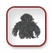 Scenario Gear/Apparel